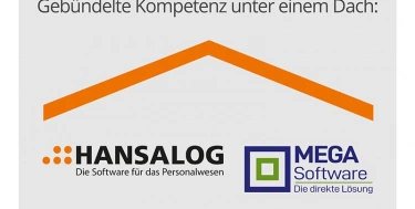 Grafik HANALOG Gruppe & HANSALOG MEGA
